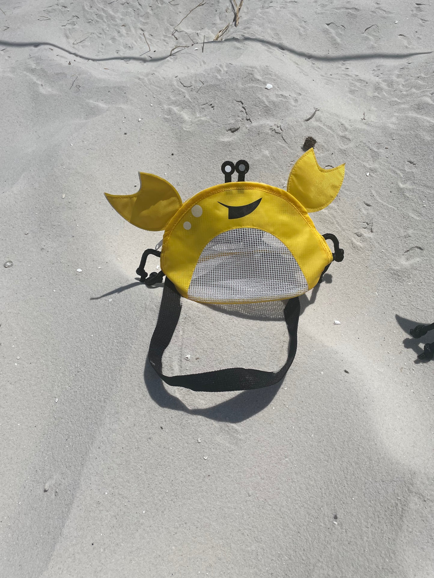 Sea Shell Bags/Beach